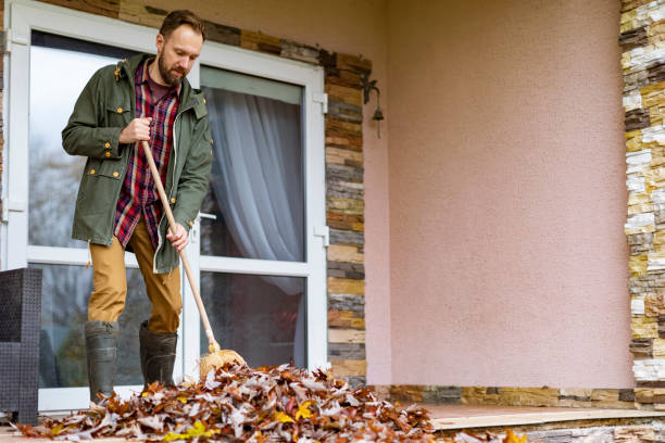 Best Attic Cleanout Services  in Collins, MS